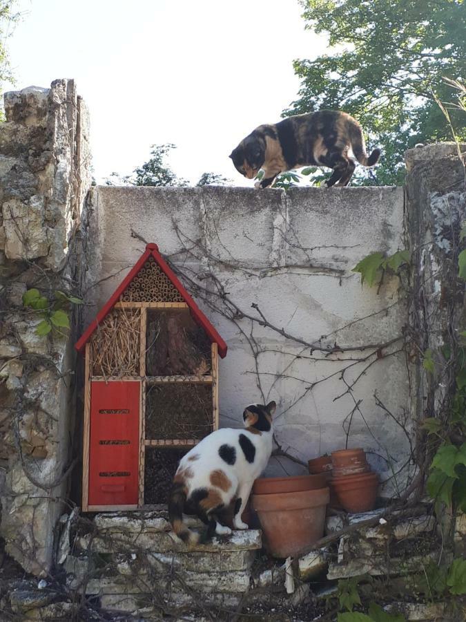 Au Chat Perche Mareil-sur-Mauldre Εξωτερικό φωτογραφία